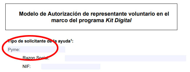 autorizacion kit digital